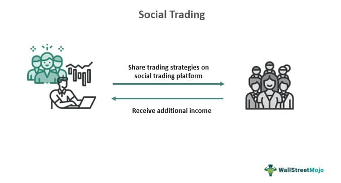 Participants and their role in the social trading model. Source: wallstreetmojo.com